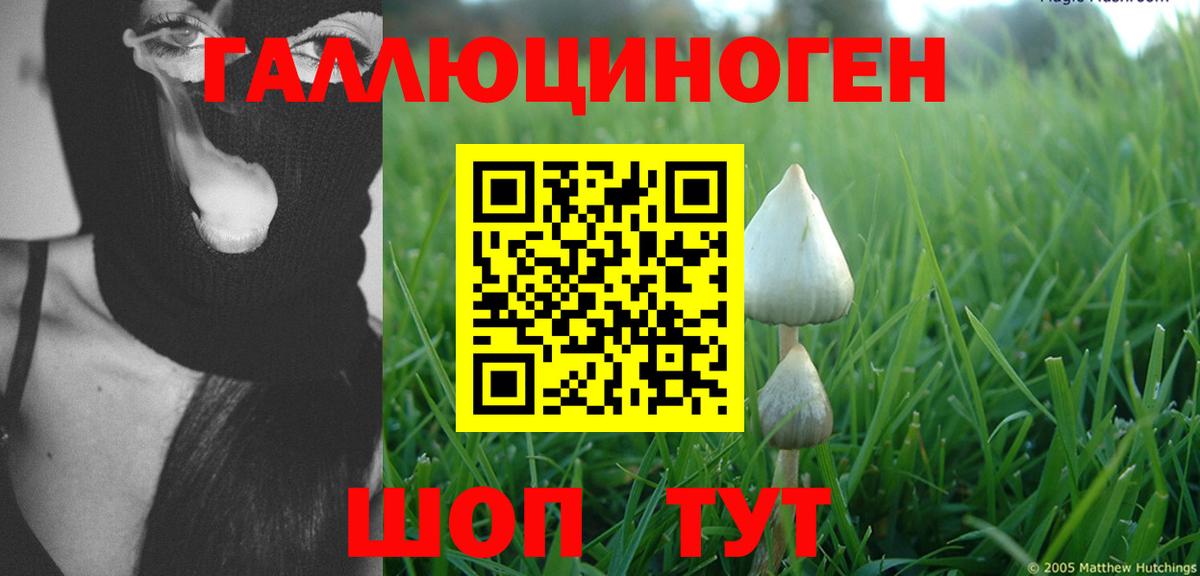 Галлюциногенные грибы Cubensis Саянск